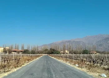 Retrospectiva Pé na Estrada: nove aventuras automotivas de 2024