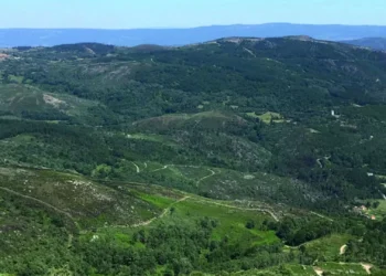 Manifestação no Barroso contra “invasão” de terrenos autorizada pelo Governo