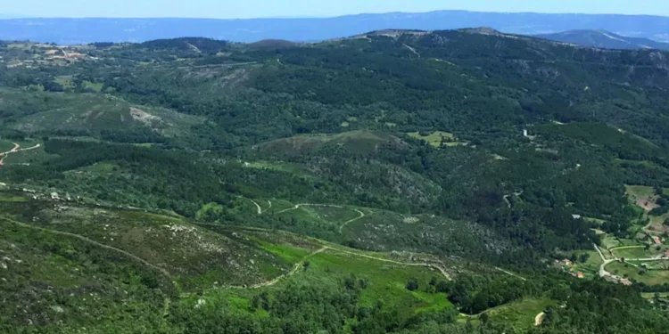 Manifestação no Barroso contra “invasão” de terrenos autorizada pelo Governo