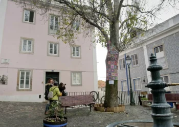 Assembleia Municipal de Lisboa defende “intervenção” na Mouraria