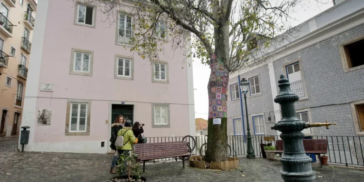 Assembleia Municipal de Lisboa defende “intervenção” na Mouraria