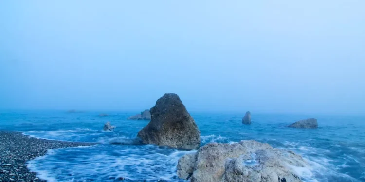 “Encantos de Málaga: Investindo na Costa del Sol”