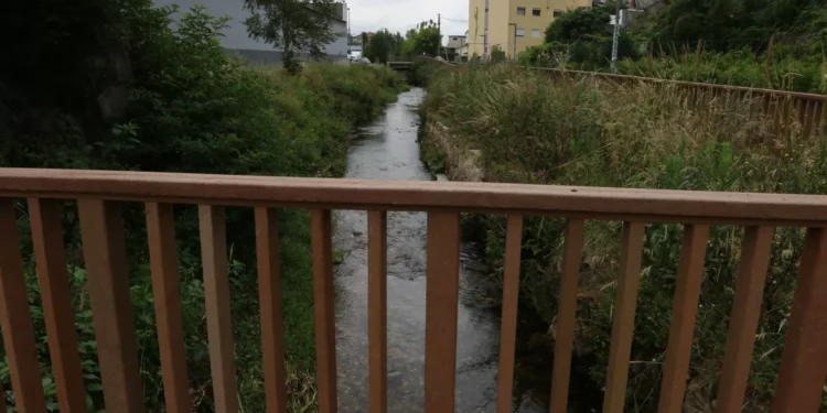 Estação de Rio Tinto terá miradouro com acesso a nova alameda pedonal