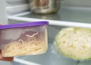 Ficámos aflitos ao saber o que acontece à comida quente no frigorífico