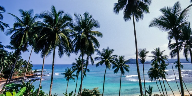 Turista portuguesa morre em excursão em São Tomé e Príncipe. PR acompanha