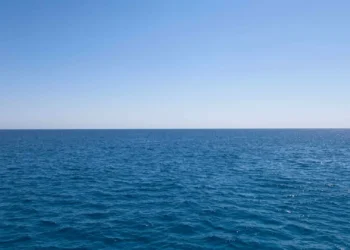 Não ratificar Tratado do Alto Mar deixa Portugal na “segunda divisão”