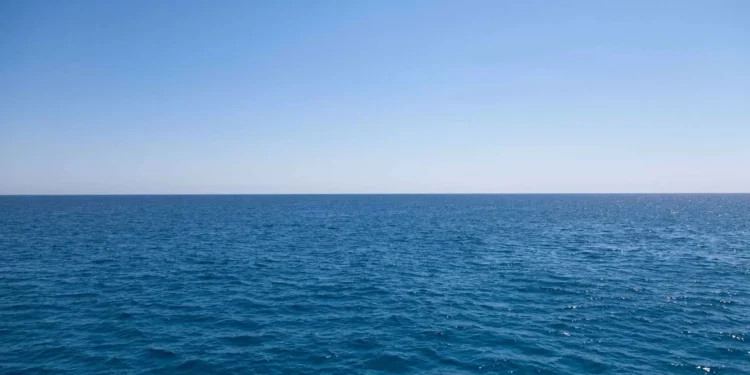 Não ratificar Tratado do Alto Mar deixa Portugal na “segunda divisão”