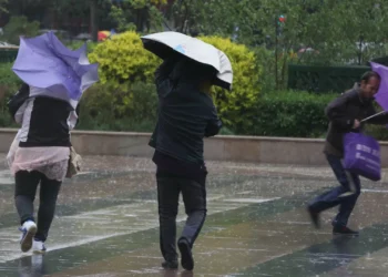 Proteção Civil conta 267 ocorrências e fenómeno de vento extremo em Coruche