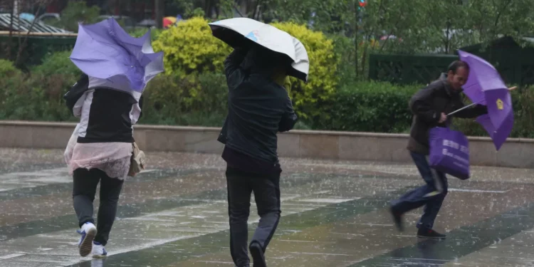 Proteção Civil conta 267 ocorrências e fenómeno de vento extremo em Coruche