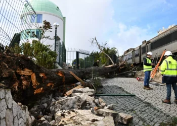 Martinho. Lisboa faz levantamento dos estragos, há 22 escolas afetadas