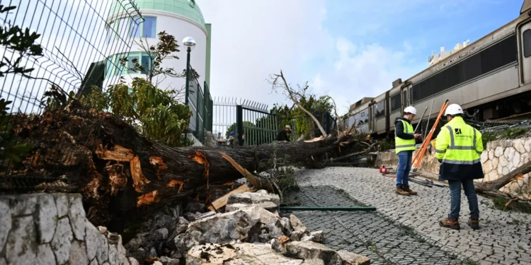 Martinho. Lisboa faz levantamento dos estragos, há 22 escolas afetadas