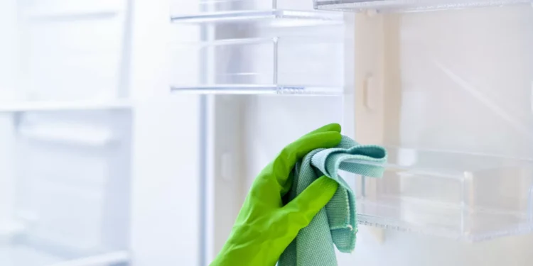 É assim que deve limpar o seu frigorífico uma vez por semana