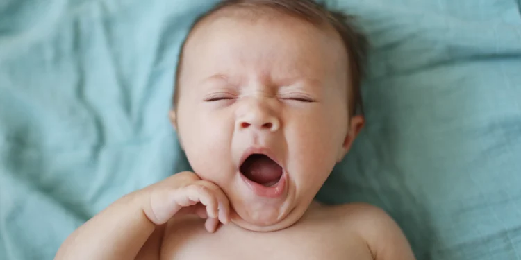 O efeito mágico das músicas do Falamansa na hora de ninar bebês