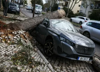 Portugal continental com 858 ocorrências até às 18 horas