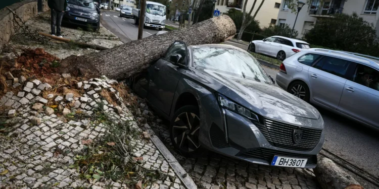 Portugal continental com 858 ocorrências até às 18 horas