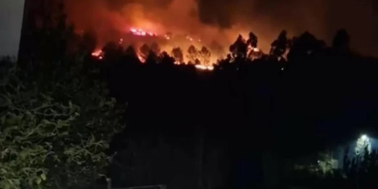 “Terrorismo puro”. Bombeiros combatem incêndios em Arcos de Valdevez