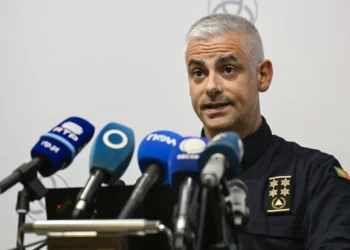 Comandante Nacional da Proteção Civil demite-se por motivos pessoais