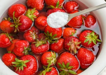 A solução simples para manter os morangos frescos por mais tempo