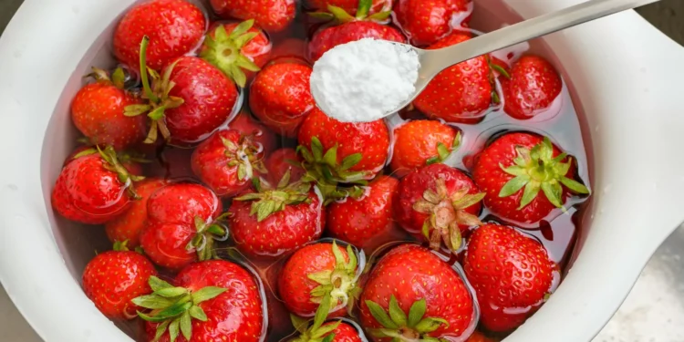 A solução simples para manter os morangos frescos por mais tempo