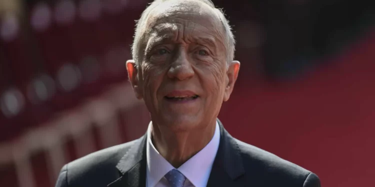 Marcelo promulga decreto-lei que reforça conservação do lobo-ibérico