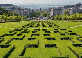 Lisboa reduz em 30% valor das taxas dos mercados e feiras este ano