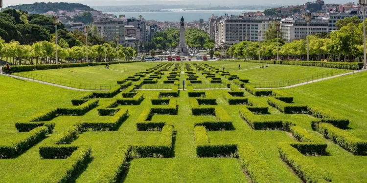 Lisboa reduz em 30% valor das taxas dos mercados e feiras este ano