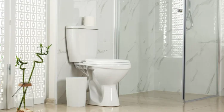 Como deixar o chão da casa de banho a brilhar e livre de bolor