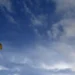 Praticante de parapente desaparecido após cair no mar em Vila do Bispo