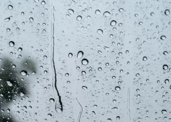 Parque Botânico do Museu do Traje encerrado devido a queda de árvores