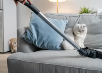 Como limpar a casa sem deixar o seu gato ansioso