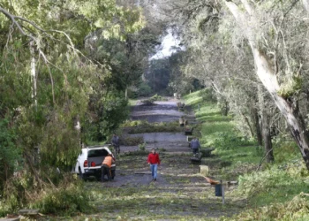 Mau tempo. Portugal continental com mais de 660 ocorrências até às 17h00