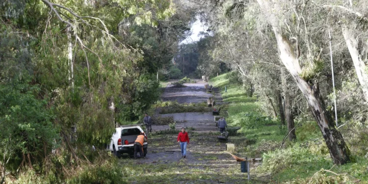 Mau tempo. Portugal continental com mais de 660 ocorrências até às 17h00