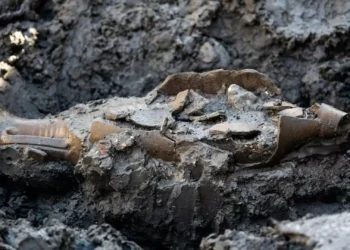 Plano de Drenagem. Escavação em Lisboa revela achados arqueológicos