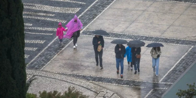 Depressão Jana. Proteção Civil registou 744 ocorrências desde sexta-feira