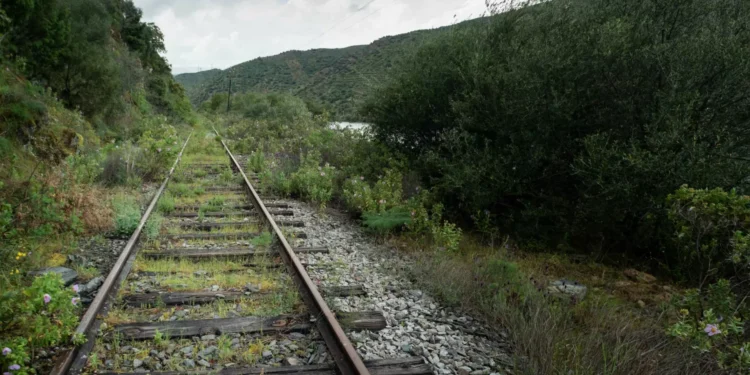 Reposta circulação na Linha do Douro entre Marco de Canaveses e Mosteiró