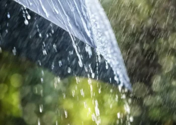 É Carnaval, ninguém leva a mal? Aguaceiros, 20ºC e o tempo para a semana