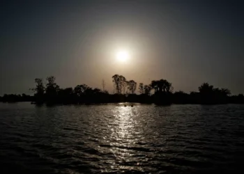 Proteção Civil alerta para elevado risco de galgamento do rio Tejo. Onde?