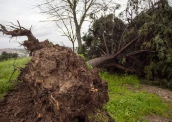Mau tempo. Vila Franca de Xira com 185 ocorrências e 5 escolas fechadas