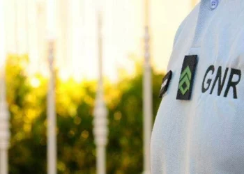 Homem atropelado em Fazendas de Almeirim. Condutor em fuga