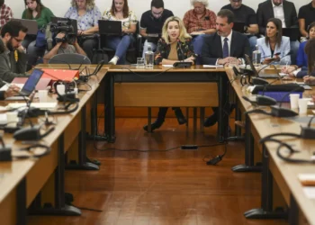 Caso gémeas. Relatório entregue 6.ª-feira e discutido a partir de dia 26