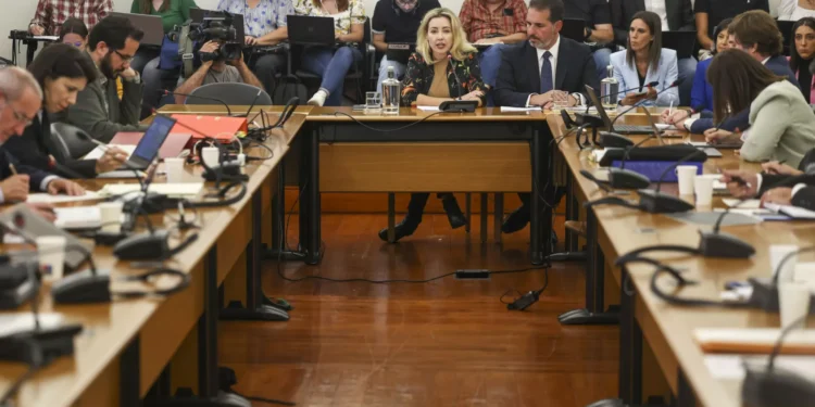 Caso gémeas. Relatório entregue 6.ª-feira e discutido a partir de dia 26