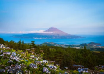Conselho de Ilha do Pico questiona executivo sobre saúde e aeroporto