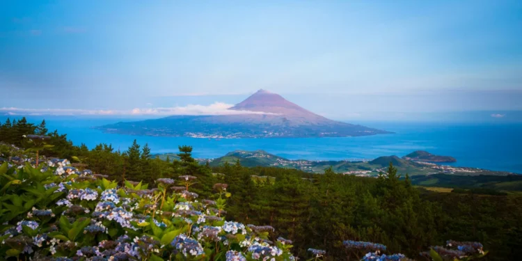 Conselho de Ilha do Pico questiona executivo sobre saúde e aeroporto