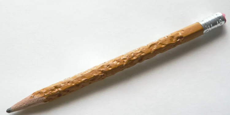 Estudo sugere o impensável: Mordiscar madeira pode fazer bem ao cérebro