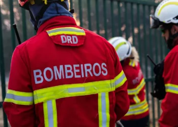 Incêndio em Sever de Vouga causa um ferido grave por queimaduras e inalação de fumo