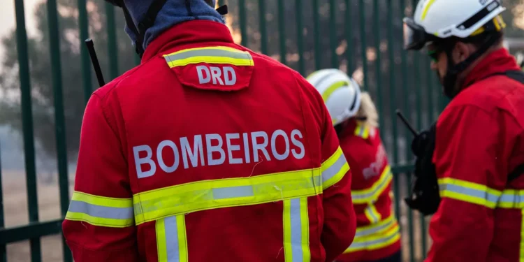 Incêndio em Sever de Vouga causa um ferido grave por queimaduras e inalação de fumo