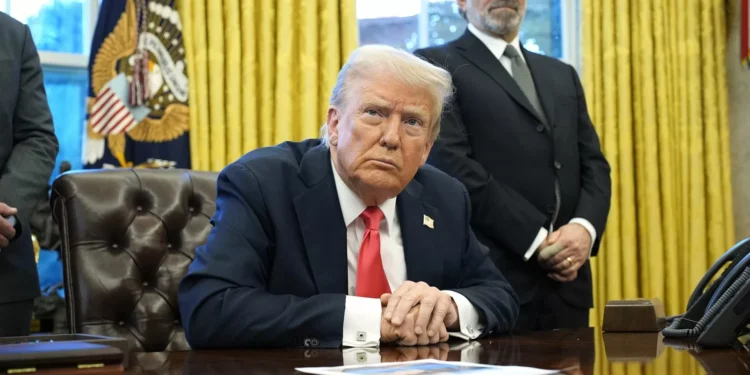 Soja, milho e amendoins. Que produtos importados por Portugal podem sofrer com as tarifas aos EUA?