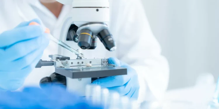 Prémio Breakthrough em Física Fundamental distingue cientistas portugueses