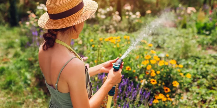 Quatro maneiras de proteger o seu jardim contra ventos fortes