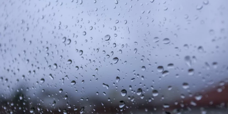 Mau tempo na Madeira? Proteção Civil da Madeira alerta para cuidados